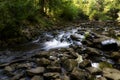 Flowing River at Hilton Falls near Milton, Ontario Royalty Free Stock Photo