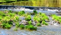 Flowing river in nature