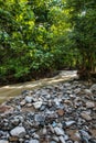 A flowing river with sand and rocks, green leaf trees and blue sky