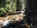 River in the Sawtooths