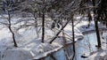 Flowing river in a snowy winter forest. Branches of trees covered with fresh snow on a sunny frosty day. Spring is coming Royalty Free Stock Photo