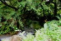 Flowing Rivers and Waterfalls Of Costa Rica, Central America