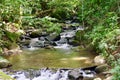 Flowing Rivers and Waterfalls Of Costa Rica, Central America