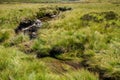 Flowing rocky Tarn river surrounded by greens in France