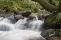 Flowing stream Royalty Free Stock Photo