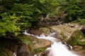 Flowing stream Royalty Free Stock Photo