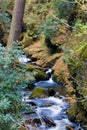 Flowing Stream Royalty Free Stock Photo