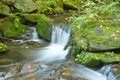 Flowing stream in the autumn forest Royalty Free Stock Photo