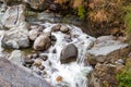 Flowing stream through green mossy rocks in forest, Royalty Free Stock Photo