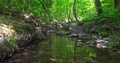 Flowing stream river in a forest with nature sound, 4k video