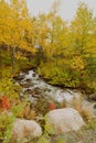 Creek bed in an Autumn landscape scene Royalty Free Stock Photo
