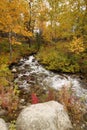 Creek bed in an Autumn landscape scene Royalty Free Stock Photo