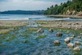 Flowing Stream At Saltwater State Park