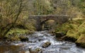 Flowing stream under a stone bridge in Brecon Beacons Royalty Free Stock Photo