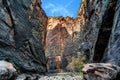 The flowing Virgin River in the Narrows in the canyons of Zion.