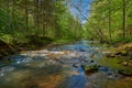 Flowing War Creek in Eastern Kentucky