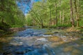 Flowing War Creek in Eastern Kentucky.