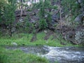 Creek at Custer State National Park, Suuth Dakota Royalty Free Stock Photo