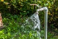 Flowing water on the garden tap , green blurry background, Royalty Free Stock Photo