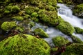 Flowing water at little creek Royalty Free Stock Photo