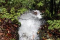 Flowing Water of a Mini Waterfall in Forests of Madeira