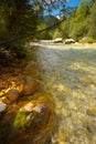 Soca river, Triglav National Park, Slovenia Royalty Free Stock Photo