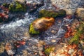 Flowing water with stones with muscles and dry leaves Royalty Free Stock Photo