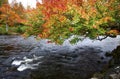 Flowing water stream with autumn leaf color Royalty Free Stock Photo