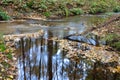 Flowing water in stream long shutter Dutch autumn forest Royalty Free Stock Photo