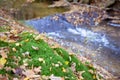 Flowing water in stream long shutter Dutch autumn forest Royalty Free Stock Photo