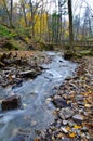 Flowing Water Upstream Royalty Free Stock Photo