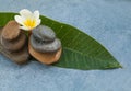 Flowr between stones for spa massage room