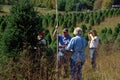 Group Measuring Christmas Trees