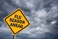 Flu season ahead Royalty Free Stock Photo