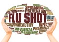 Flu Shot word cloud hand sphere concept