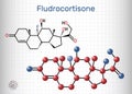 Fludrocortison, fluorocortisone molecule. It is synthetic corticosteroid with antiinflammatory and antiallergic properties. Royalty Free Stock Photo