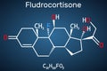 Fludrocortison, fluorocortisone molecule. It is synthetic corticosteroid with antiinflammatory and antiallergic properties. Royalty Free Stock Photo