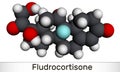 Fludrocortison, fluorocortisone molecule. It is synthetic corticosteroid with antiinflammatory and antiallergic properties. Royalty Free Stock Photo