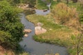 fluent river with rocks and vegetation in Africa. Lubango. Angola.