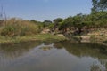 fluent river with rocks and vegetation in Africa. Lubango. Angola.