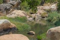 fluent river with rocks and vegetation in Africa. Lubango. Angola.