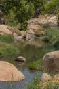 fluent river with rocks and vegetation in Africa. Lubango. Angola.