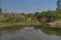 fluent river with rocks and vegetation in Africa. Lubango. Angola.