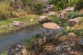 fluent river with rocks and vegetation in Africa. Lubango. Angola.