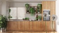 Fluffy airy dandelion with blowing seeds spores over cosy sustainable kitchen with houseplants. Interior design idea. Change,