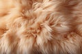 Fluffy background from natural animal fur, copy space top view, seamless texture Royalty Free Stock Photo