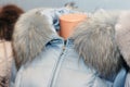 Fluffy beautiful fur on the collar of a blue winter jacket dressed in a mannequin