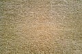 fluffy beige carpet texture background, view