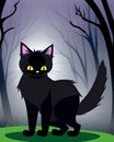 Fluffy black cat in the woods