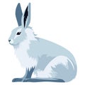 Fluffy blue hare sitting